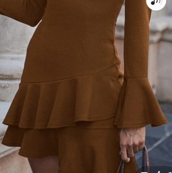 Beautful Brown Dress - Picture 2 of 4